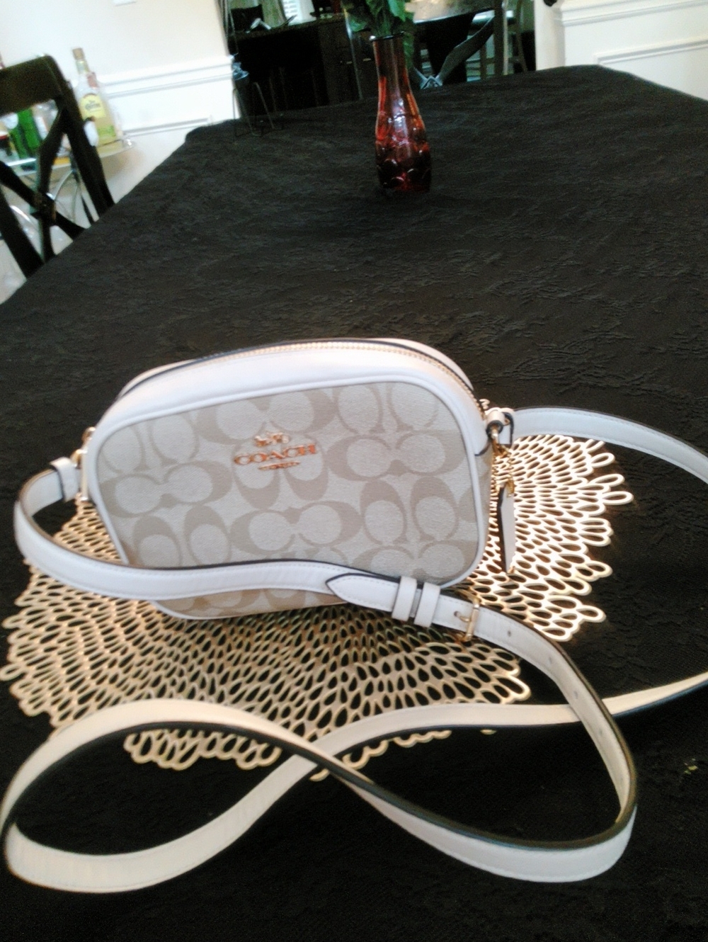 Coach Chalk Signature Small Crossbody Camera Bag
